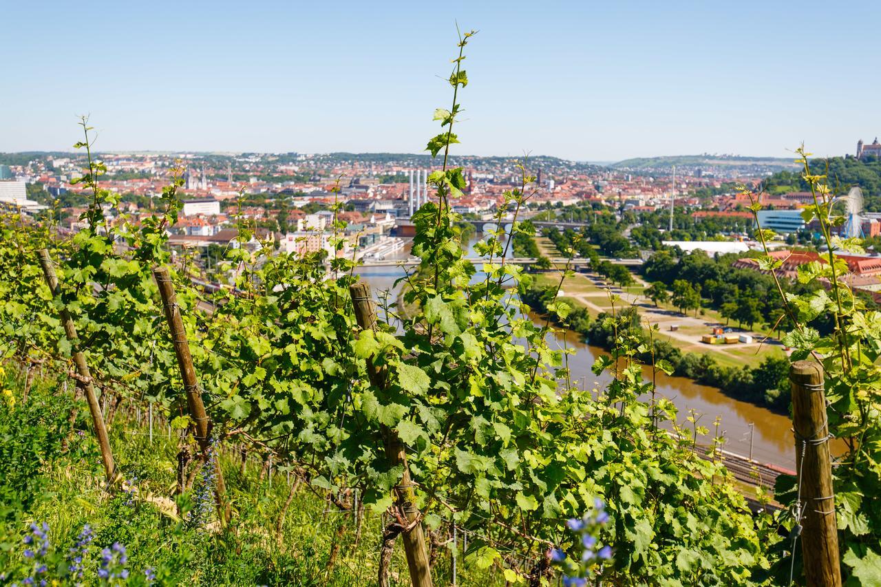 Schlosshotel Steinburg Würzburg Kültér fotó